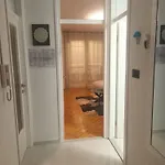 Wolfie * شيبينيك