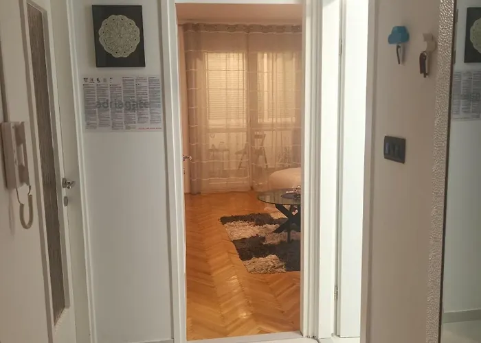 Wolfie * 希贝尼克